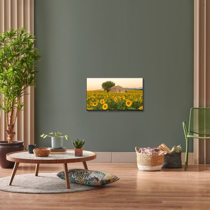 Tv 32 Thomson Hd Frameless Smart T2/C2S2 Android 11