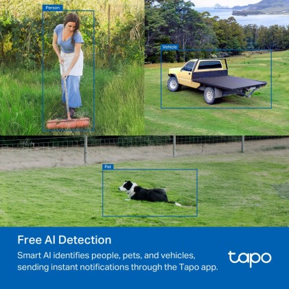 Telecamera Pan/Tilt 4G LTE Outdoor Tapo C501GW
