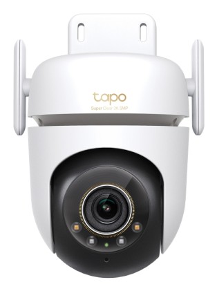 TP-Link Tapo TC43(EU) V2 Sferico Telecamera di sicurezza IP Interno e esterno 2880 x 1620 Pixel Soffitto/Parete/Palo