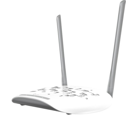 Access Point 300Mbps 2Antenne Fisse