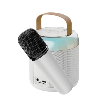 Karaoke Techmade Bt Speaker+Mic Bia Nco Sd Slot Batteria 500Mah Lithium