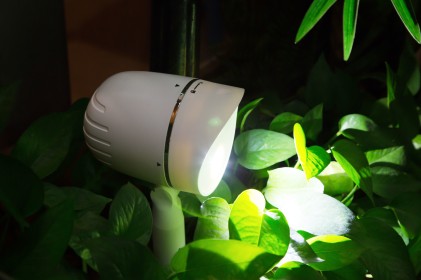 Lampada Led Esterna A Batterie Con Sensore Pir E Supporti