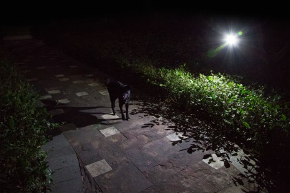 Lampada Led Esterna A Batterie Con Sensore Pir E Supporti