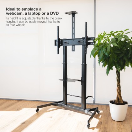 TooQ ZEUS 2,54 m (100") Nero