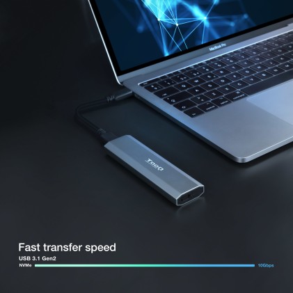 TooQ Shura Box esterno SSD Grigio M.2