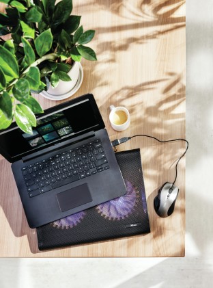 Trust Base Di Raffreddamento Per Laptop Con Doppia Ventola Illuminata Blu - Azul - Nero
