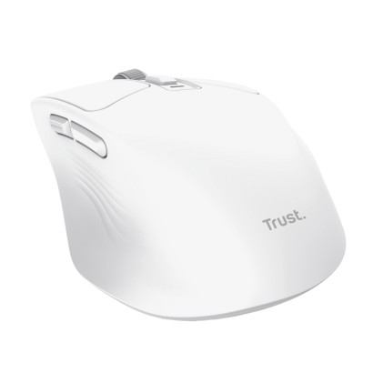 Trust Niven mouse Ufficio Mano destra RF senza fili + Bluetooth 3200 DPI