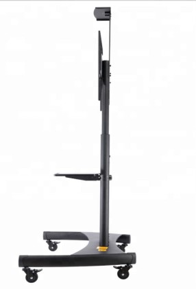 Staffa  Pavimento Per Tv 65 50Kg Npf10020 Load 50Kg Con Ruote