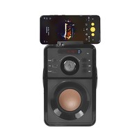 Speaker Vakoss SP-2920BK 1500W Black