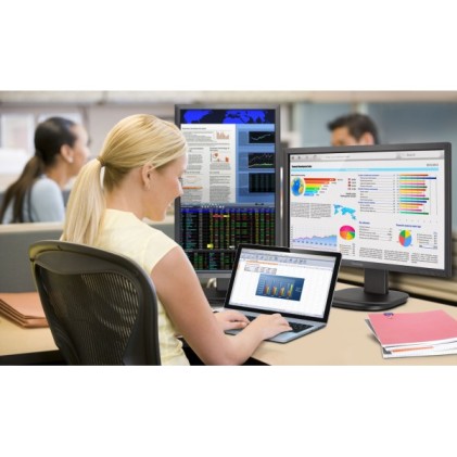 Mon 24"Mva Fhd Hdmi Dp Vga 5Ms Mm 2Xusb Tilt  Pivot Carry Reg Altezza