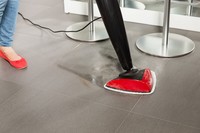 Pulitori a vapore Vileda 4023103181267 Pulitore a vapore verticale Nero, Rosso Pulitore a vapore