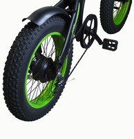 Vivobike Bicicletta Con Pedalata Assistita Fat Bike Verde Ruote 21" 40Km Autonomia Batteria 25Km Velocita