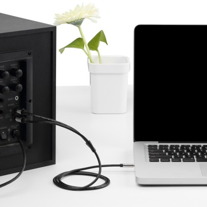 Vention BCFBI cavo audio 3 m 3.5mm 2 x RCA Nero