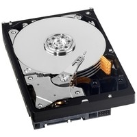 Western Digital 3.5 1 TB WD10EARS 64MB SATA