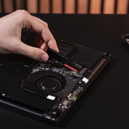 SanDisk SN7100 2 TB M.2 PCI Express 4.0 NVMe 3D TLC NAND