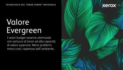 Xerox Cartuccia toner Nero a Standard da 1.500 pagine per C230 / C235 (006R04383)