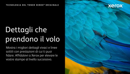 Xerox Cartuccia toner Giallo a Standard da 1.500 pagine per C230 / C235 (006R04386)