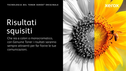 ORIGINALE Xerox toner giallo 006R04680 C410/415 2000 pagine