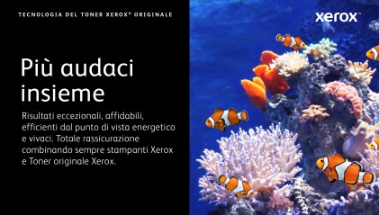 Xerox Cartuccia toner Ciano a Capacità standard da 2400 Pagine per Multifunzione a colori  VersaLink C505, Stampante a colori  VersaLink C500 (106R03859)