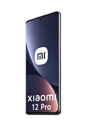 Xiaomi 12 Pro 256Gb 12Gb Gray