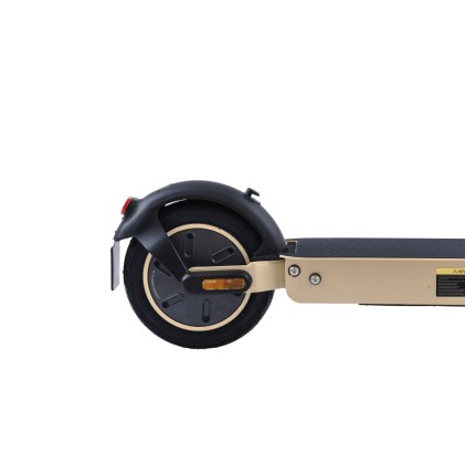 Zwheel ZFox Max Autumn Sunrise 25 km/h Beige 15 Ah