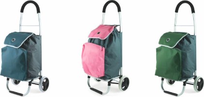 Carrello Portaspesa Galileo 2 Ruote