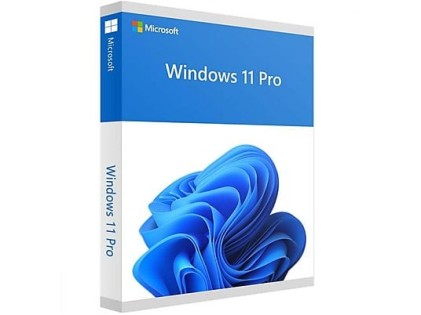 MS Windows 11 Pro 64-Bit 1PK DE