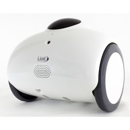 Robot Drone LKM HERO Videosorveglianza Wireless LKM Security Con Telecamera Ip Integrata In HD 1 Megapixel Funzione P2P