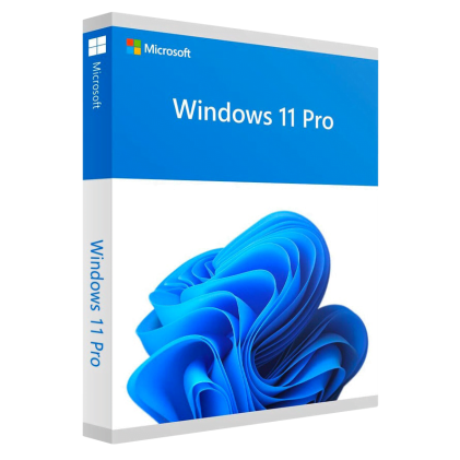 MS Windows 11 Pro 64-Bit 1PK IT