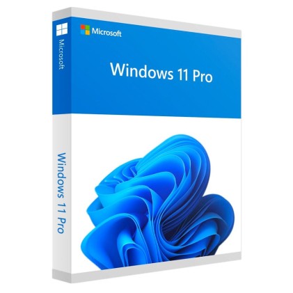 MS Windows 11 Pro 64-Bit 1PK ENG