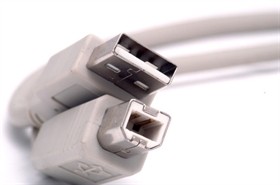 Cavo USB2.0 A/B M/M 5,00m beige