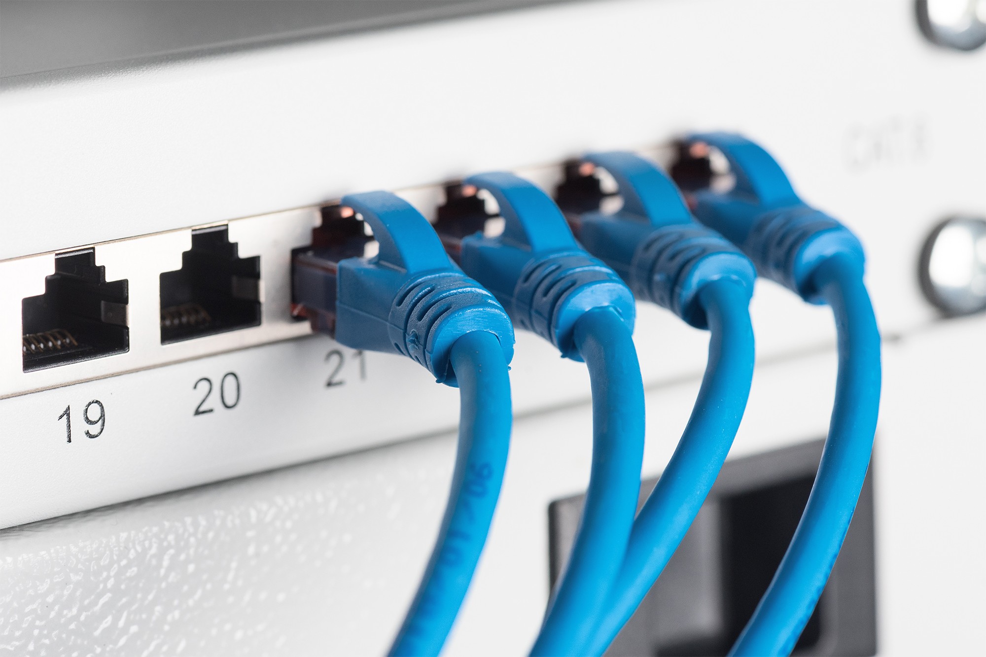 Riteav Piastra A Muro Cat6 4 Porte Schermata - 1 Gang, Bianco, Connessione Senza Attrezzi, Femmina-Femmina