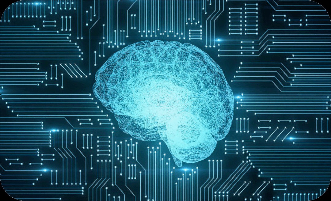 Licenza Eduportal Vr Per Singolo Visore Elettronica (Non Incl Visore