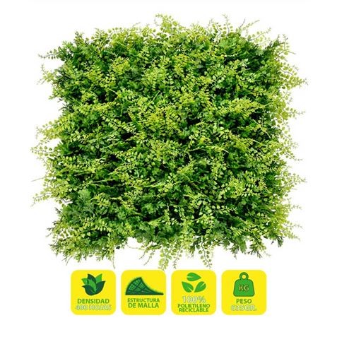 Giardino verticale Sungarden Serie Garden 50x50 cm - Colore verde