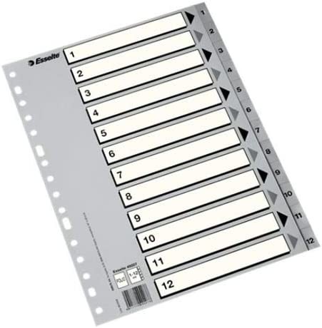 Esselte 50 Indici Numerici in Plastica - Schede da 1 a 12 - Multiforo - Formato Folio - Colore Grigio