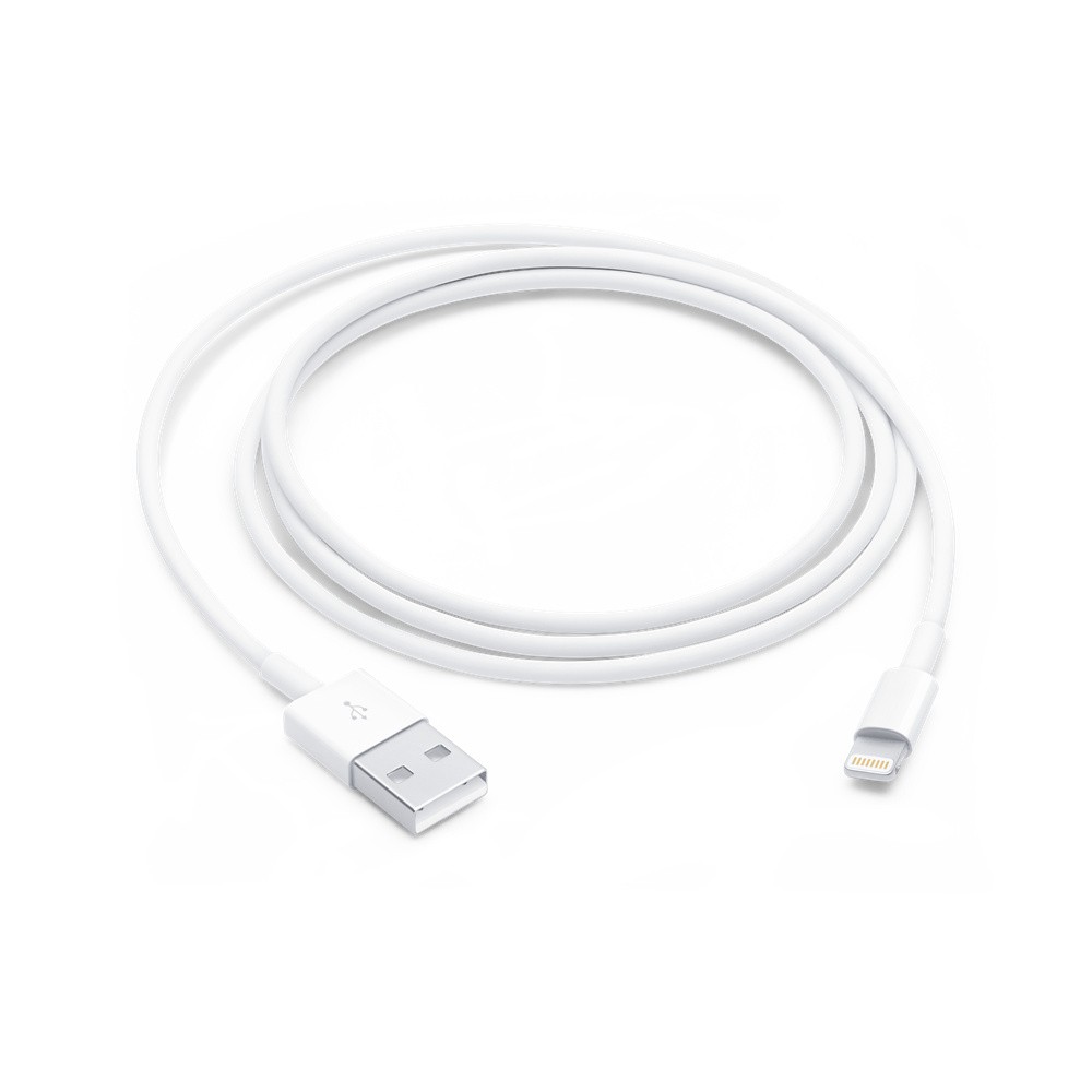Cavo Apple Usb Lightning 1 Metro