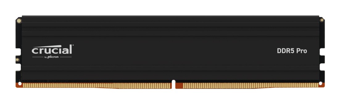 Crucial Pro CP32G56C46U5 memoria 32 GB 1 x 32 GB DDR5