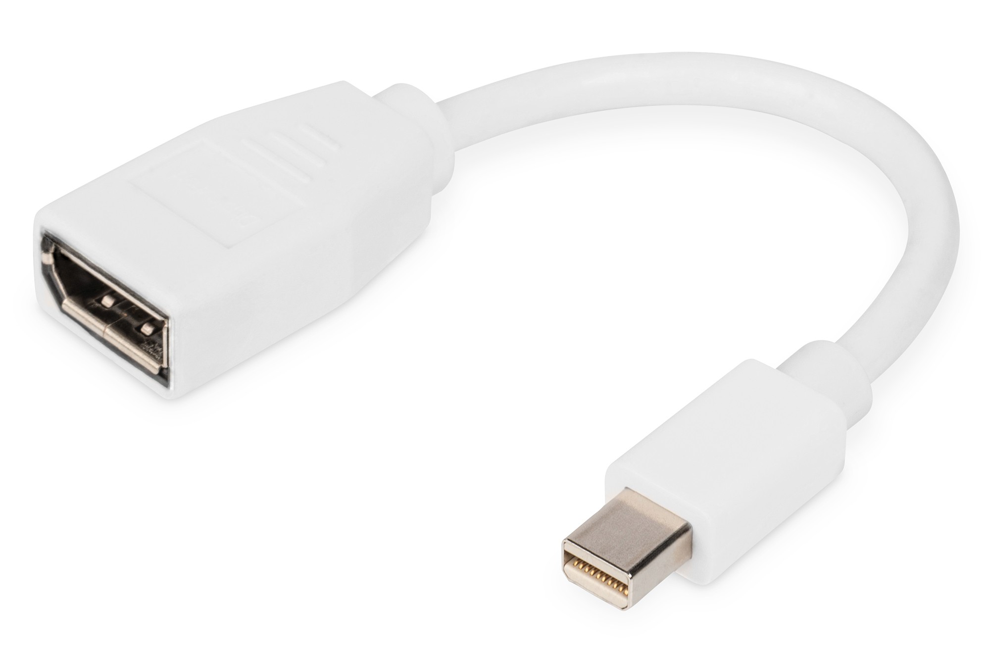 Digitus Cavo Adattatore Displayport Mini Dp - Dp