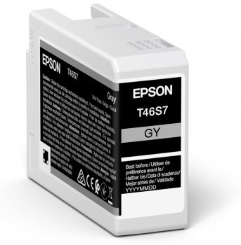 ORIGINALE Epson Cartuccia d'inchiostro Grigio C13T46S700 T46S7 25ml