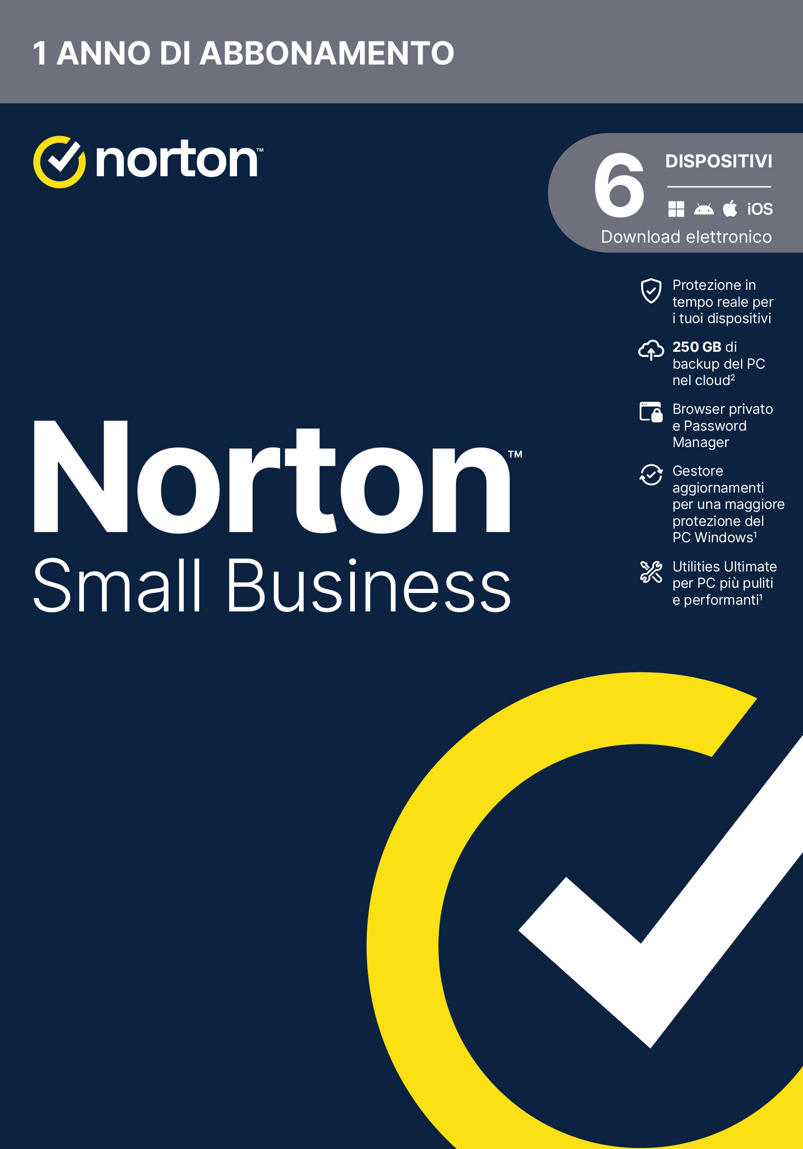 Norton Small Business 1User 6 Dev 250Gb Backup 12 Mesi